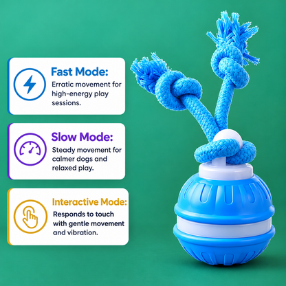 The Chase Buddy Dog Toy