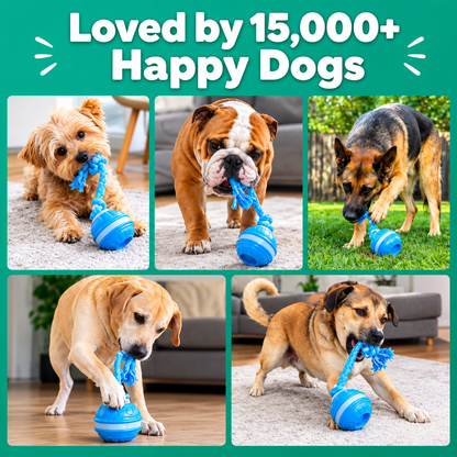 The Chase Buddy Dog Toy