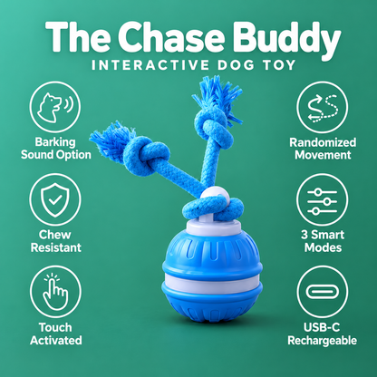 The Chase Buddy Dog Toy